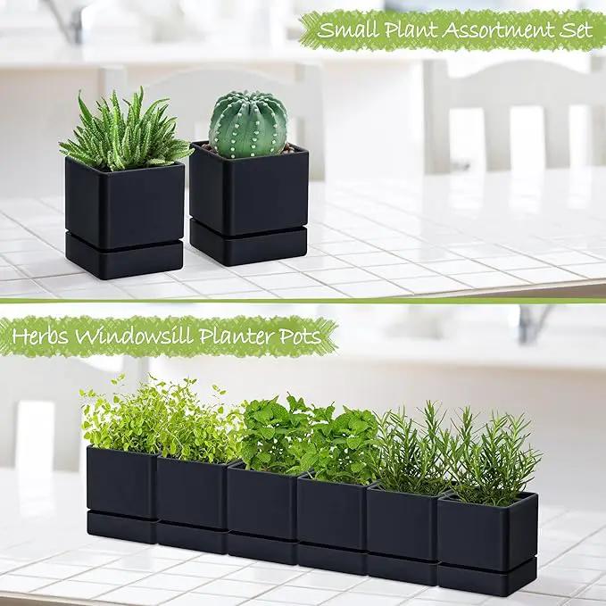 4 Inch Herb Planter Pot, Plastic Planter with Drainage Holes and Saucer, Modern Decorative Gardening Pot for Indoor Plants, Flowers, Herbs, Succulents, Black, Set of 6, 76-Y-B-6 by GreenHaven Gardens