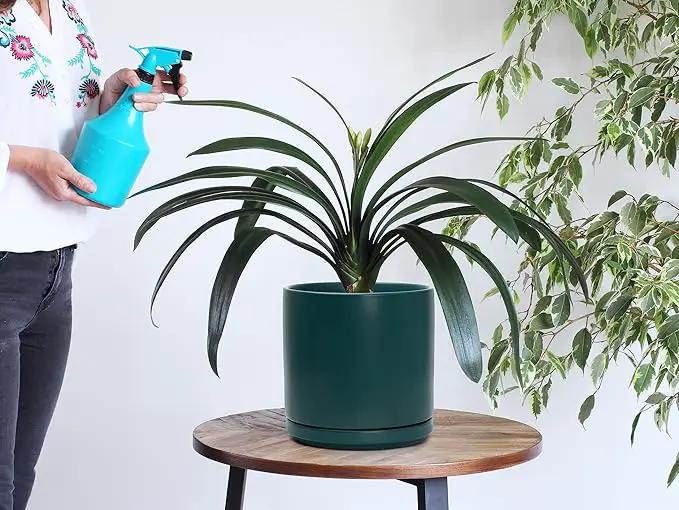 D'vine Dev 6 Inch & 8 Inch Ceramic Planter Pots for Plants with Drainage Hole and Saucer, Medium Plant Pots Set, Teal, 94-G-M-9 by GreenHaven Gardens