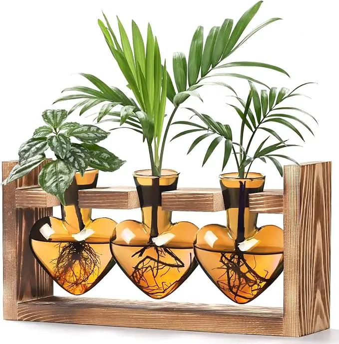 Lifecapido Heart Shaped Propagation Stations, Plant Terrarium with Wooden Stand, Plant Propagation Station for Hydroponics Plants Office Garden Home Decor, Gifts for Women Plant Lover (3 Vases, Amber) by GreenHaven Gardens