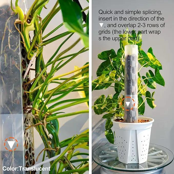 4 Pcs 17 Inch Plastic Moss Pole for Plants Monstera, Stackable Plant Support for Indoor Climbing Plants, Clear Plant Poles with 2pcs Garden Ties Work with Sphagnum Moss by GreenHaven Gardens