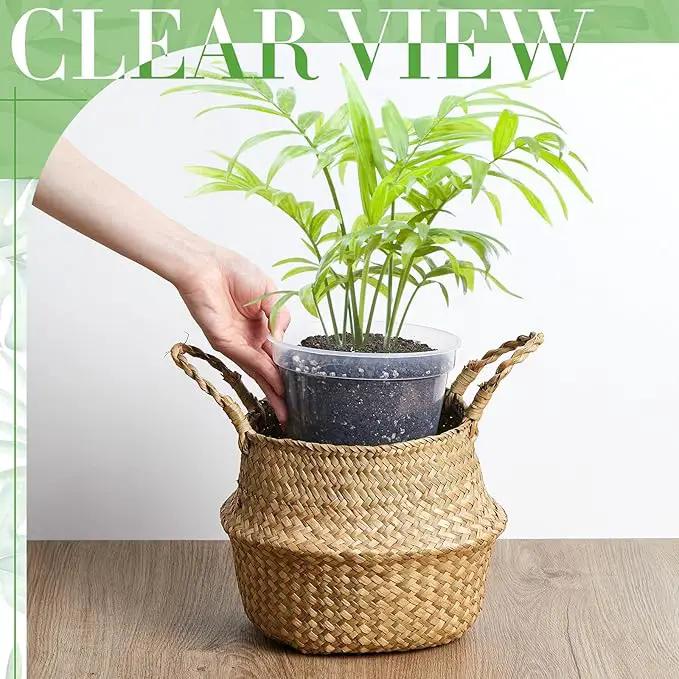 Vesici Large Size Clear Nursery Pots Variety Pack Plant Pots with Drainage Holes Planters for Indoor Plants Flexible Transparent Plastic Plant Bottle Succulents(12 Pcs,5/7/9 Inch) by GreenHaven Gardens