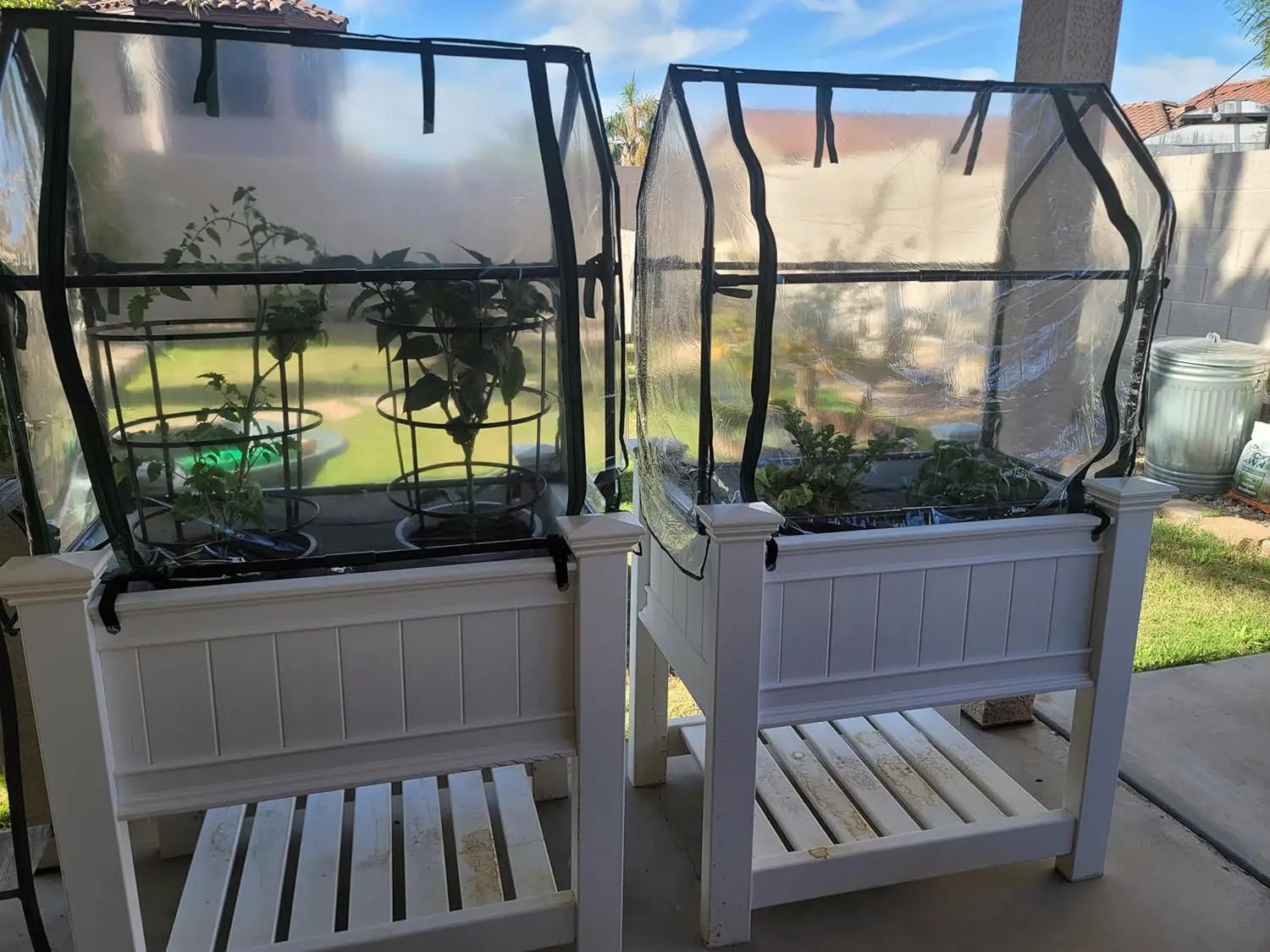 Gardzen Mini Greenhouse Heavy Duty Portable Green House, Clear Tent Indoor or Outdoor for Plants 36.2”(L) x18.9”(W) x33.3”(H) by GreenHaven Gardens