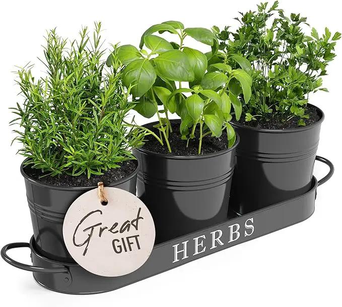 Barnyard Designs Indoor Herb Garden Planter Set with Tray, Metal Windowsill Plant Pots with Drainage for Outdoor or Indoor Plants, Set/3 (Black) by GreenHaven Gardens