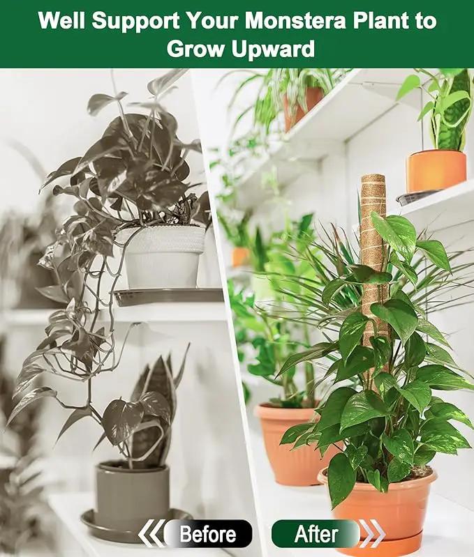 EAONE Moss Pole 168 Inch, 8 Pack 21" Monstera Plant Support for Climbing Potted Live Plants Indoor, Stackable Coco Coir Moss Sticks Monstera Stakes for Pothos Philodendron, with Garden Labels & Ties by GreenHaven Gardens