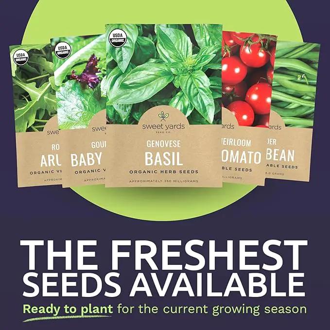 Organic Seeds Essential Variety Pack - 10 Individual Packs - 2025 Season - Summer Squash, Cherry Tomatoes, Arugula, Broccoli and More! for Indoor & Outdoor Planting (Non-GMO, Certified Organic) by GreenHaven Gardens