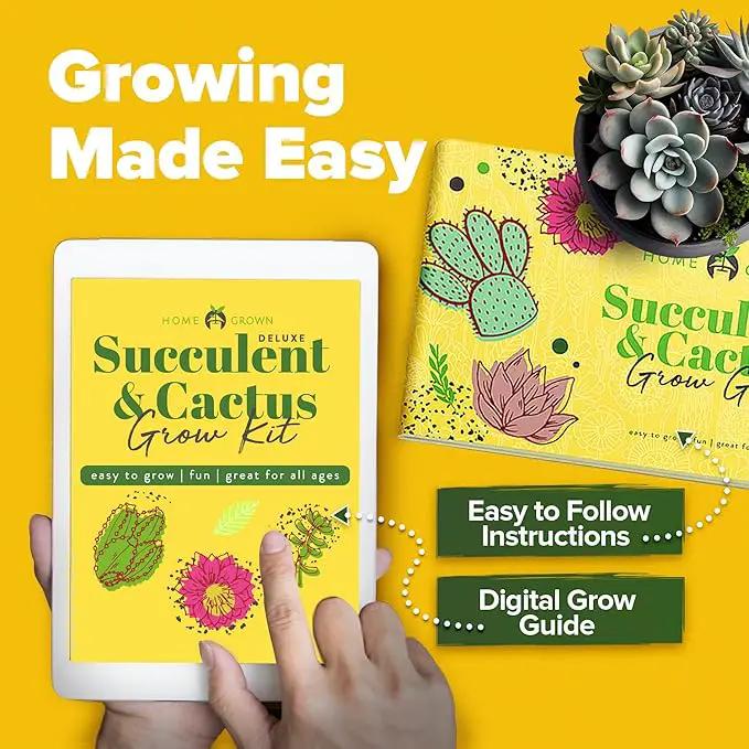 HOME GROWN Deluxe Succulent & Cactus Seed Grow Kit - Complete Indoor Plant Kit with Cactus Seeds, Potting Soil, Ceramic Pots, Drip Trays, and Grow Guide for Plant Enthusiasts by GreenHaven Gardens