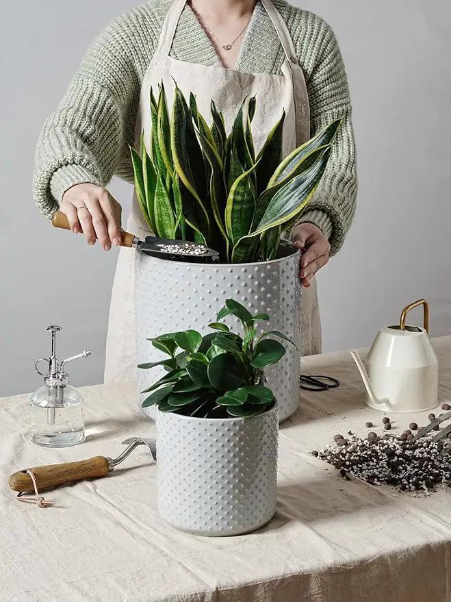 LE TAUCI Ceramic Plant Pots Indoor, 10+8+6 Inch Planters for Indoor Plants, Raised Dots Flower Pots with Drainage Hole and Plug, Cylinder Round Planters, Set of 3, Glaze Star Gray by GreenHaven Gardens