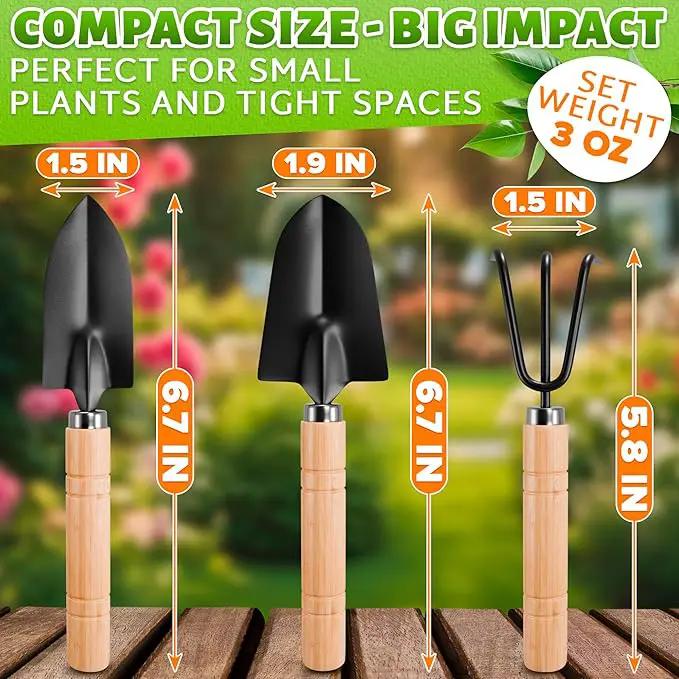 Mini Garden Tools - 3Pcs Indoor Plant Tools Set Indoor Gardening Tools Small Garden Shovel Mni Rake Small Gardening Tools Set Hand Rake Gardening Spade Gardening Supplies Indoor Garden Trowels by GreenHaven Gardens