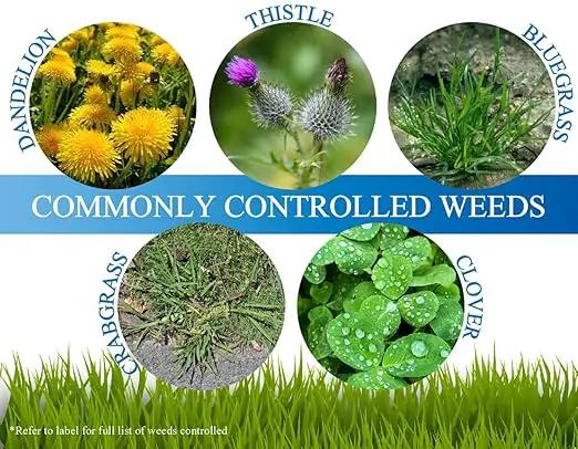 Liquid Harvest Mesotrione - 32oz - Mesotrione Concentrate (Compare to Tenacity) - Pre and Post-Emergent Weed Killer for Lawn and Turf Grasses by GreenHaven Gardens