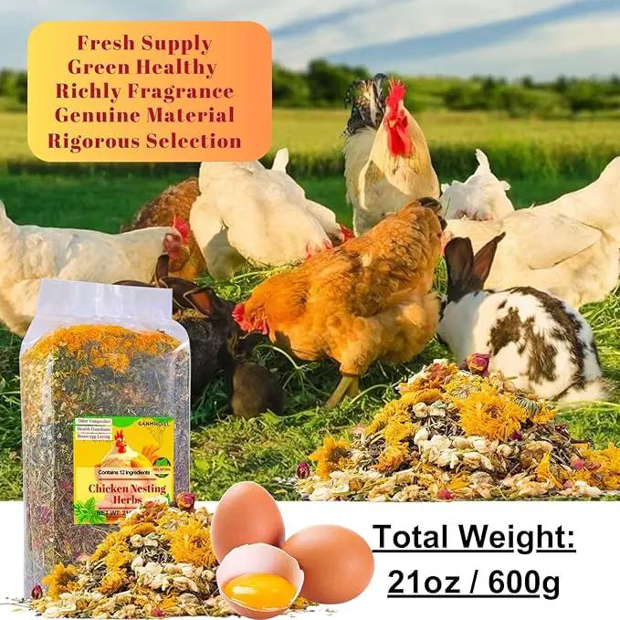 21 oz Chicken Nesting Herbs Flowers - 1.3lb Poultry Blend Herbs 12 Premium Nesting Box Herbs for Chicken Coop Refresher Boost Egg Laying Hens Herb Supplement for Backyard by GreenHaven Gardens