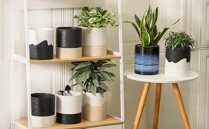 Nihow Self Watering Planter Accessory Set with Wick, Mesh - Enhance Your Plant's Growth and Health Easily by GreenHaven Gardens