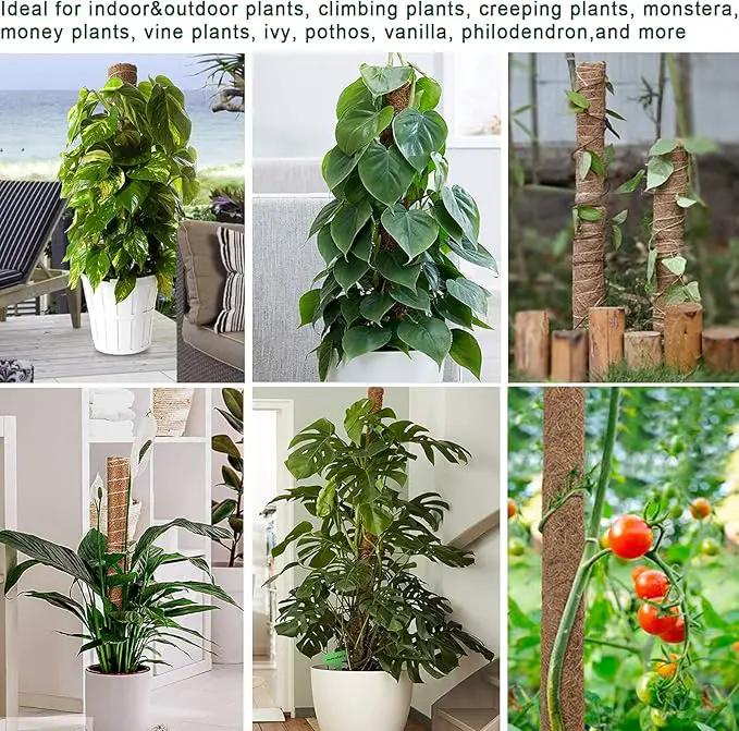 Moss Pole 36 Inch - Monstera Plant Support, 2 Pack 20.5 Inch Plant Stakes for Indoor Plants Coco Coir Moss Pole Sticks for Climbing Potted Live Plants, Pothos, Philodendron, with Garden Ties by GreenHaven Gardens