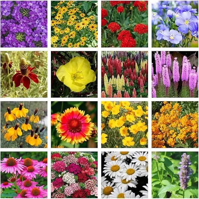 Bulk Wildflower Seed Shaker – Perennial Flower Seeds Mix to Plant Anywhere, by Geva Grow | 20 - Different Type Beautiful Perennial Wildflower Seeds Bulk 900,000+ Seeds, 1 Pound Tub by GreenHaven Gardens