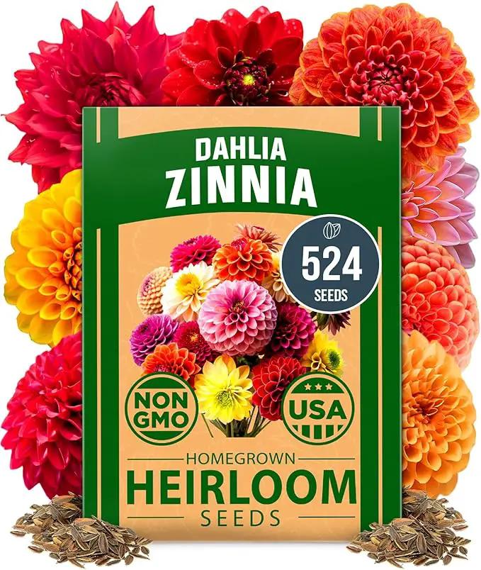 HOME GROWN 𝗨𝗦𝗔 𝗣𝗥𝗘𝗠𝗜𝗨𝗠 Zinnia Dahlia Seeds Pack for 2025 – 524 𝗡𝗢𝗡-𝗚𝗠𝗢 Flower Seeds | Vibrant Zinnia Elegans for Pollinator Gardens, Borders & Containers | Easy-to-Grow Outdoor Blooms by GreenHaven Gardens