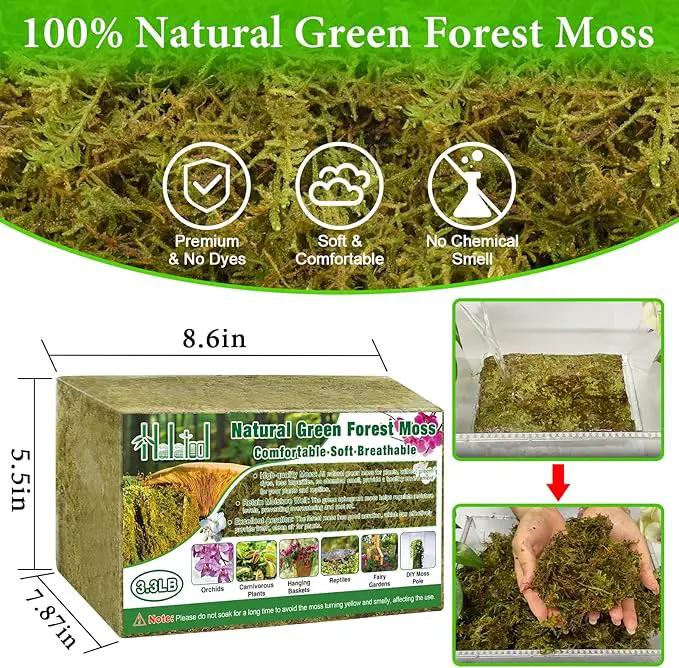 Halatool 3.3LB Green Forest Moss Natural Sphagnum Moss for Plants Fluffy Orchid Moss for Orchids Repotting Dried Plant Moss for Potted Plants Indoor & Outdoor by GreenHaven Gardens
