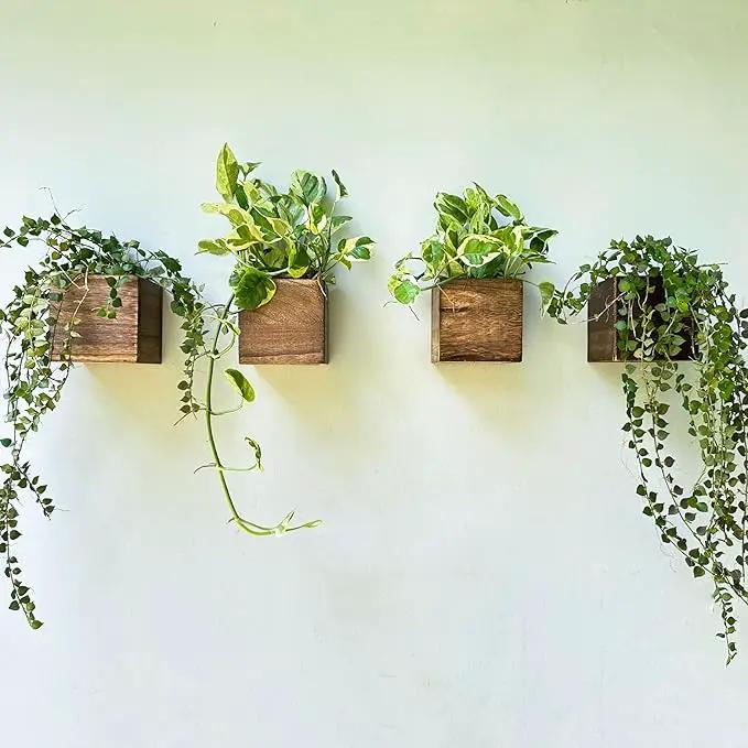 LaLaGreen Wood Planter Boxes (4 Pack, 4x4 Inch) Small Square Wooden Wall Mounted Flower Pot for Indoor Plants, Window Box Mount Hanging Herb Planters Outdoor Plant Holder Vertical Garden Home Decor by GreenHaven Gardens