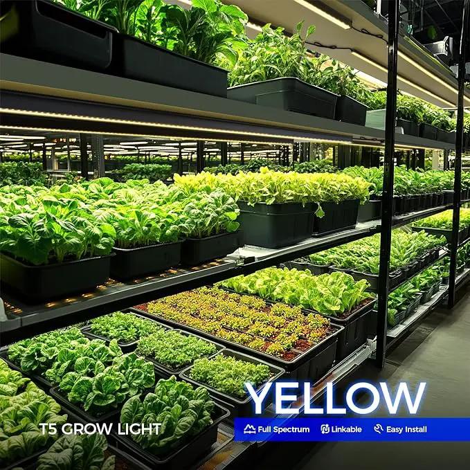 Barrina T5 Grow Lights for Indoor Plants, 4FT 160W (8 X 20W) Plant Grow Lights Indoor with Magnetic Bar, Linkable Plant Growing Lamps with Black Cover, Plug and Play, Yellow, 8 Packs by GreenHaven Gardens