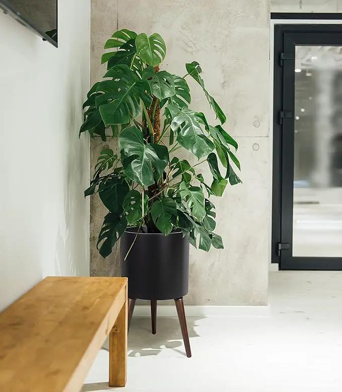 D'vine Dev 14 Inch Planter Pot with Stand, Mid-Century Tall Plant Pot with Legs for Indoor Plants, X-Large, Black, 88-O-D-2 by GreenHaven Gardens