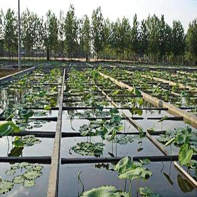 15 x 20 FT Pond Liner, 20 Mil Fish Pond HDPE Liner, Pond Liners for Outdoor Ponds, Koi Ponds, Garden Fountain, Waterfall by GreenHaven Gardens