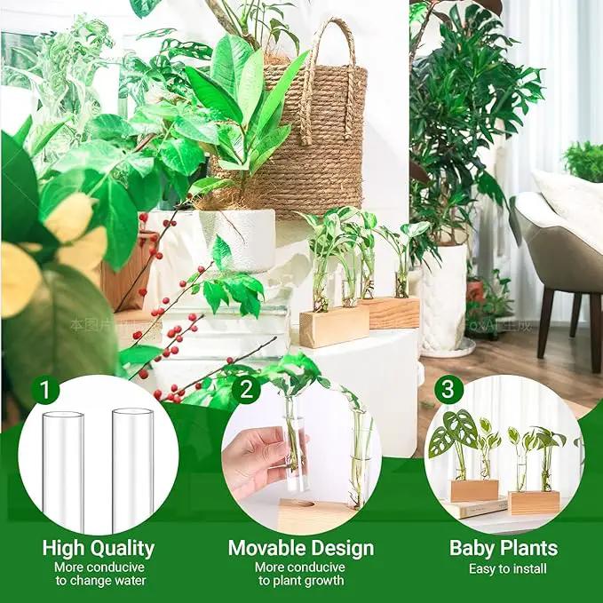 Ivolador Propagation Stations Double Test Tube Plants Terrariums in Wooden Stand Propagation Station for Hydroponic Plants Office Home Decoration by GreenHaven Gardens
