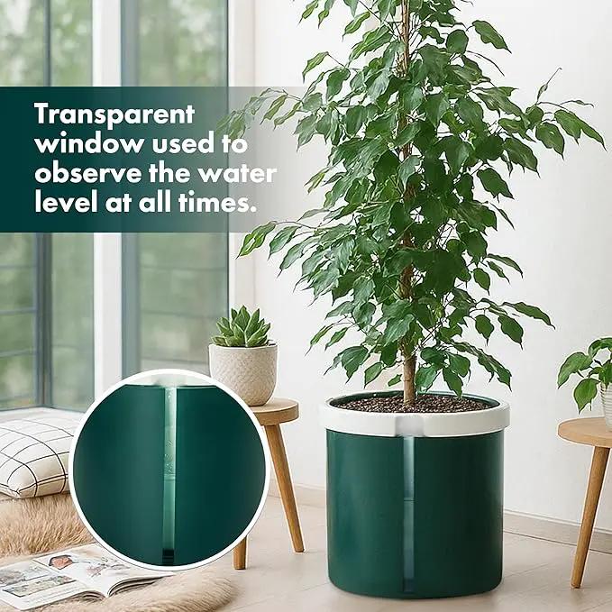 D'vine Dev 10 Inch Design Self Watering Planter for Indoor Plants, White Terracotta Pot with Teal Cylinder Glass Cup, 37-X-D-5 by GreenHaven Gardens