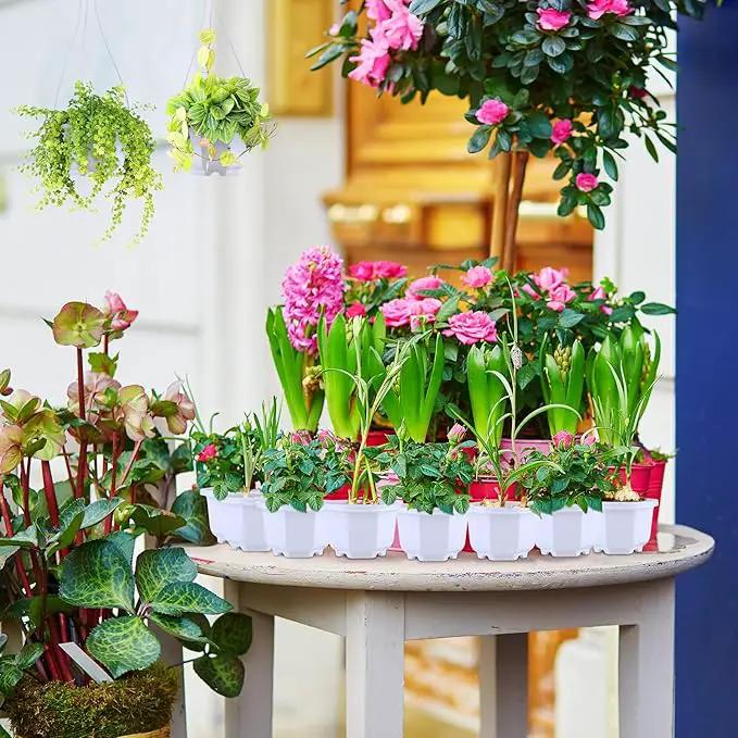 Roshtia 24 Pcs Hanging Plastic Planter Pot with Hook Flower Pots Baskets Hanging Nursery Planter Holder for Outdoor Indoor Plant Garden(Ceramic White,3.7 Inch) by GreenHaven Gardens