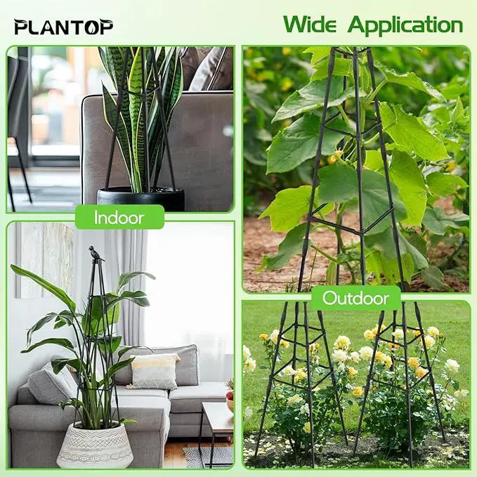 2 Pack Garden Trellis for Climbing Plants Outdoor, 79"/6.6ft Tall Rustproof Tomato Trellis, PE Coated Metal Plant Trellis Indoor, Tower Trellis for Potted Plants Flowers Vines Vegetables by GreenHaven Gardens