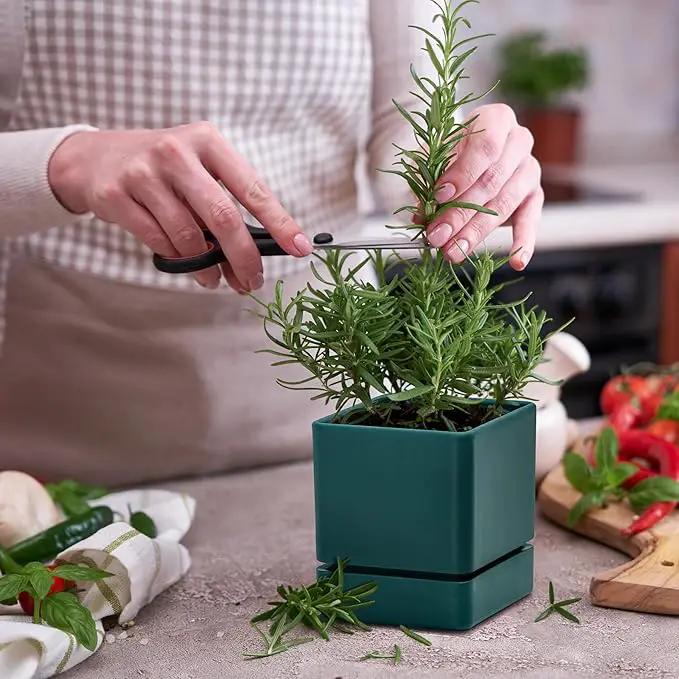 4 Inch Herb Planter Pot, Plastic Planter with Drainage Holes and Saucer, Modern Decorative Gardening Pot for Indoor Plants, Flowers, Herbs, Succulents, Green, Set of 2, 76-Y-C-2 by GreenHaven Gardens