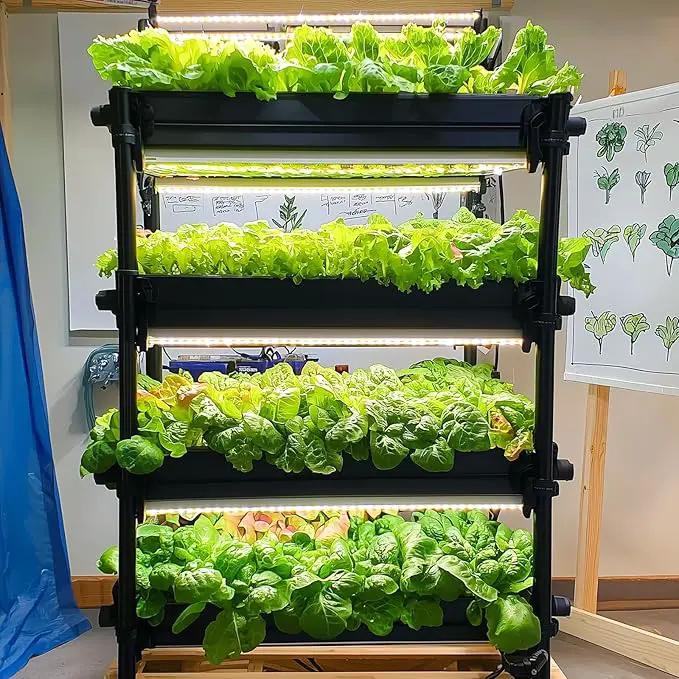 20,000+ Lettuce Seeds, Heirloom Vegetable Seed for Planting Indoor Outdoor, 10 Varieties Fresh Lettuce Salad Seeds Garden Hydroponics Kit - Romaine, Iceberg, Boston, Bibb and More, Non-GMO by GreenHaven Gardens