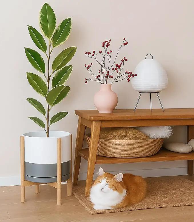 D'vine Dev Ceramic Planter with Natural Stand - 12 Inch Modern Round Flower Pot with Wood Planter Holder, White/Grey, 55-B-J-6 by GreenHaven Gardens