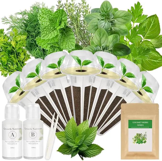 Gourmet Herbs Seed Pod Kit for AeroGarden, iDoo, Ahopegarden, MUFGA Hydroponics Garden with Basil, Parsley, Thyme, Mint, Cilantro, Dill, Oregano - Compatible with All Hydroponics (7-Pod) by GreenHaven Gardens