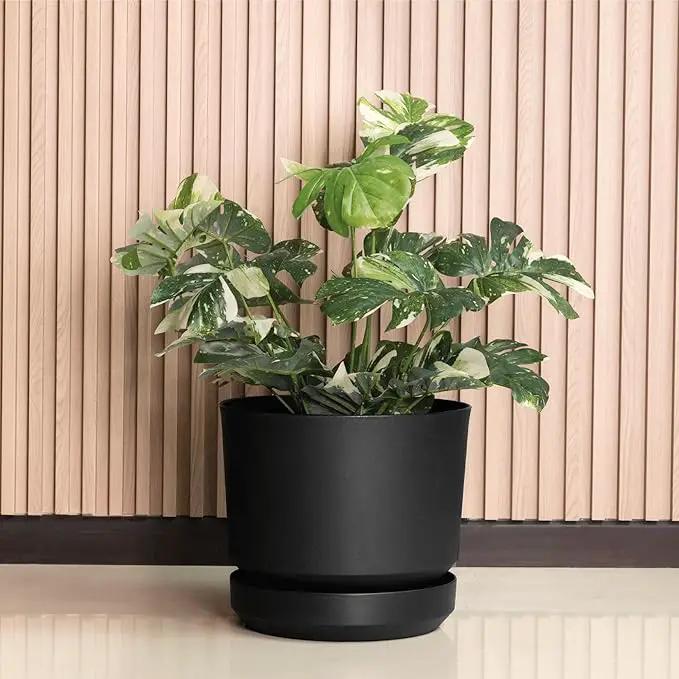 Elly Décor 8 inch Plastic Cylinder Planter Pot with Self-Watering Saucer and Drainage Hole,Lightweight & Extremely Durable, 8"x 8", Black by GreenHaven Gardens