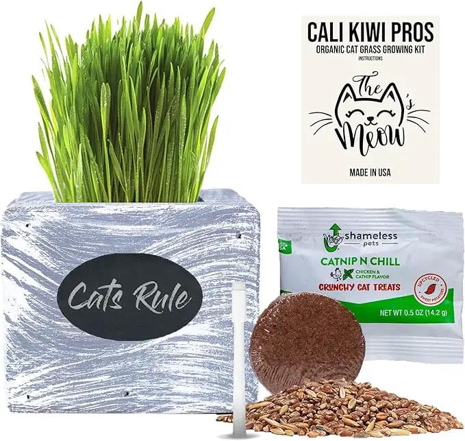 Cat Grass for Indoor Cats Kit – Organic Wheatgrass Seed & Soil, Hairball Remedy in Red Cedar Planter, Gift Box with Bonus Label, Pen & 10% Cat Treats Discount (White) by GreenHaven Gardens