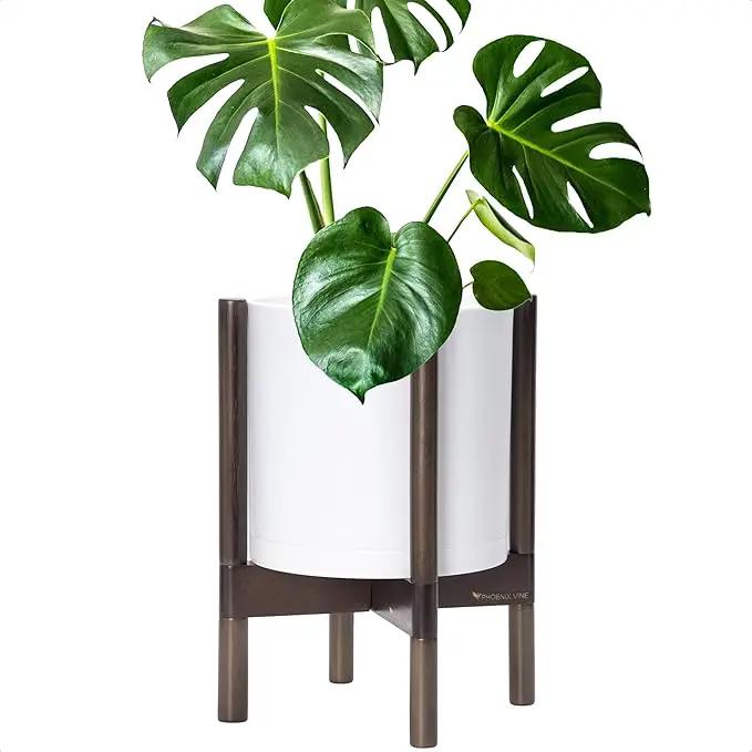 D'vine Dev Planter Pot with Stand - 10 Inch Plastic Cylinder Flower Pot with Wood Planter Holder for Indoor, Matte White Pot + Walnut Color Stand, 55-C-L-1 by GreenHaven Gardens