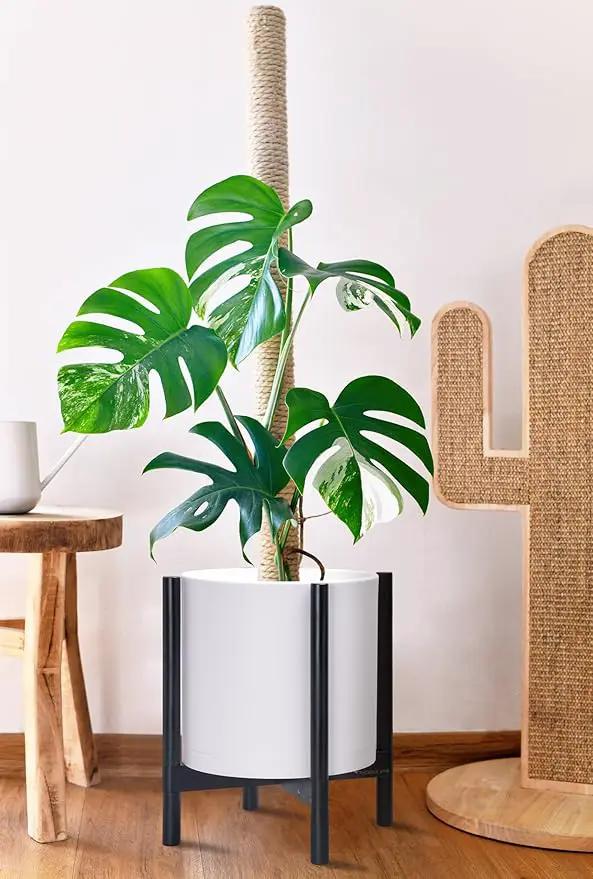 D'vine Dev Planter Pot with Stand - 14 Inch Plastic Cylinder Flower Pot with Wood Planter Holder for Indoor, Matte White Pot + Ebony Stand, 55-C-T-1 by GreenHaven Gardens