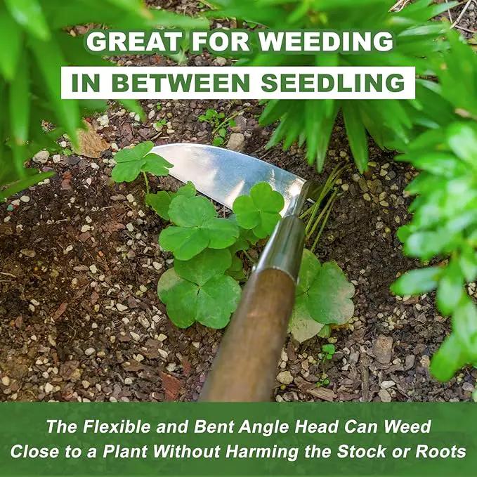 Haliaeetus Sickle Hoe, 58'' Long Handle Japanese Hand Hoe for Standing to Remove Weed, Stainless Steel Scraper Hoe, Bent Angle Weeding Sickle for Fastly Scraping Out Weed on Flower Bed, Between Plants by GreenHaven Gardens