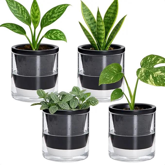D'vine Dev 4 Inch Design Self Watering Planter for Indoor Plants, Black Terracotta Pot with Cylinder Glass Cup, Set of 4, 37-Z-A-3-F by GreenHaven Gardens