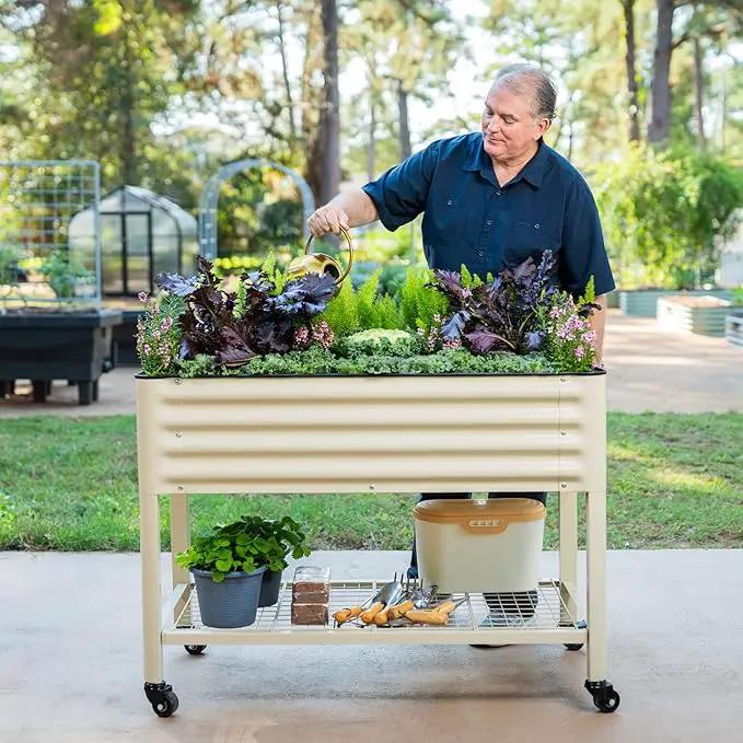 Rolling Elevated Raised Garden Bed-V Series, 2' x 4' Garden Beds with Legs & Storage Rack for Patio & Porch, 700 Lbs Weight Capacity, Outdoor Planter Box for Vegetables Flower Herbs, Pearl White by GreenHaven Gardens