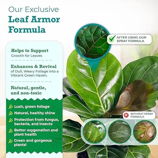 Leaf Armor Spray for Houseplants – Protects Against Fungal Leaf Spots, Bacteria, Pathogens & Yellowing | Gentle & Natural Phosphite Formula | Ready-to-Use | Made in USA – 8 oz by GreenHaven Gardens