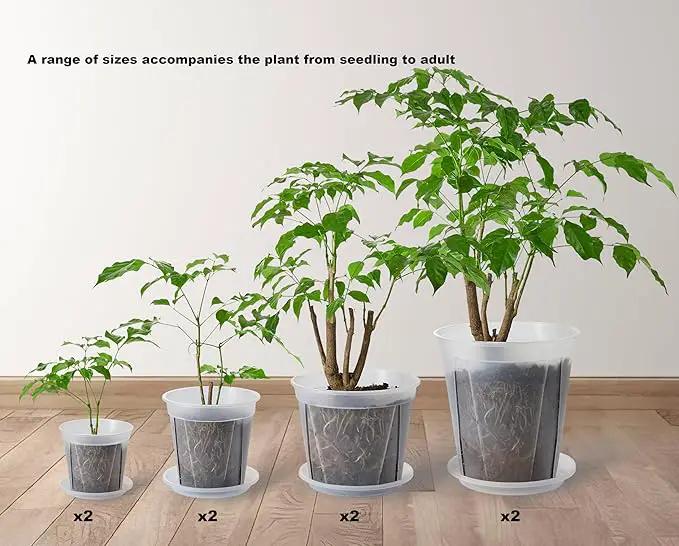 Large Clear pots for Plants,8 Sets 5/6/7/8 inch Thick Plastic Nursery pots for Plants with Drainage Holes for Monstera Plant Live,Succulents etc - Indoor and Outdoor use by GreenHaven Gardens
