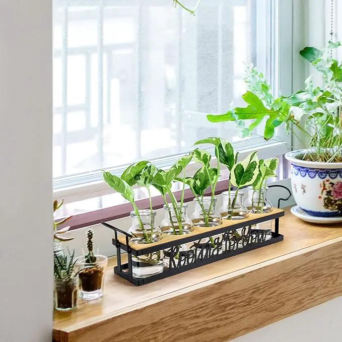 THYGIFTREE Plant Propagation Stations, Mothers Day Plant Lover Gifts for Mom Women Rooting for You Propagate Jars for Hydroponic Cuttings Propagating Vase by GreenHaven Gardens