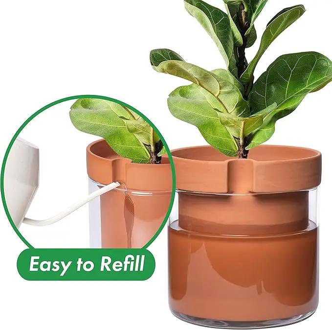 Phoenix Vine 10 Inch Self Watering Planter Pot, Terracotta Clay Pot with Glass Reservoir for Indoor Plants, Herbs, Flowers, Set of 1, 52-A-I-1 by GreenHaven Gardens