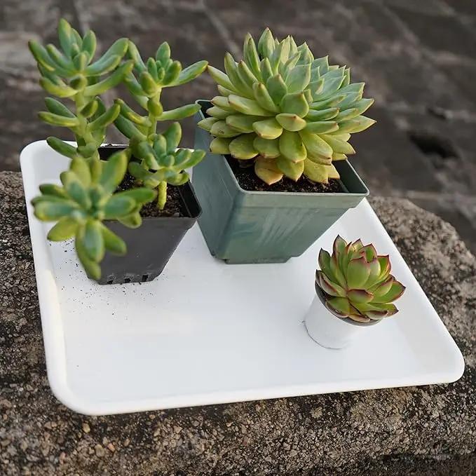 4 Pack Plant Saucer Tray Rectangular, Plant Saucers for Indoors, Heavy Sturdy Plastic Plant Drainage Trays, Plant Drip Trays for Pots, Seed Starter Growing Tray (11 x 9, Creamy White) by GreenHaven Gardens
