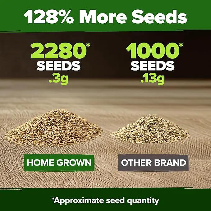 HOME GROWN 𝗨𝗦𝗔 𝗣𝗥𝗘𝗠𝗜𝗨𝗠 German Chamomile Seed Pack – 2,280 𝗡𝗢𝗡-𝗚𝗠𝗢 Heirloom Seeds for Planting for Sustainable Gardens and Soothing Medicinal Herbal Teas (Matricaria chamomilla) by GreenHaven Gardens