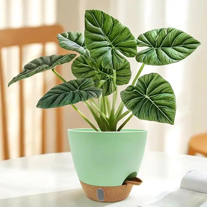 12/10/9/8 inch Self Watering Pots with Visual Water Window, Extra Large Self Watering Plant Pot with Drainage Holes and Saucers, Green Flower Pots for Indoor Plants by GreenHaven Gardens