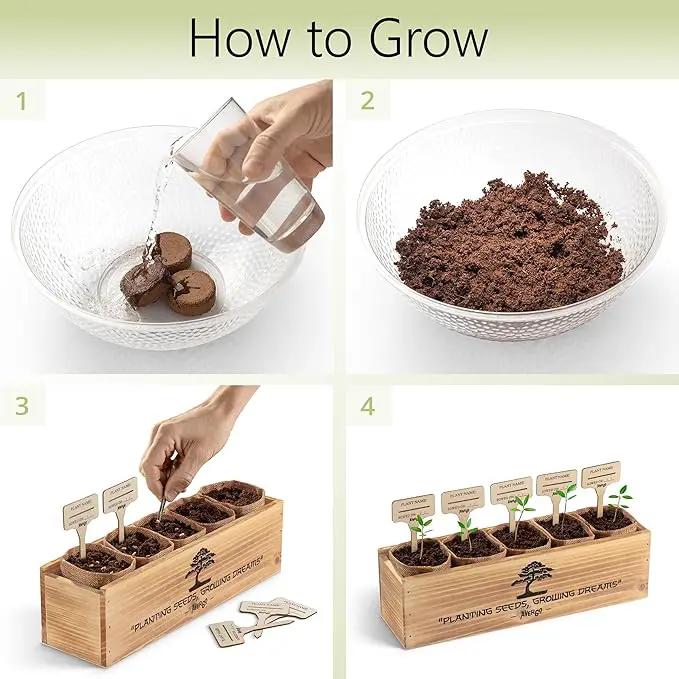 Bonsai Tree Kit – 5X Unique Japanese Bonzai Trees | Complete Indoor Bonsai Starter Kit for Growing Bonsai Plants with Tools & Planters – Gardening Gifts for Women & Men by GreenHaven Gardens