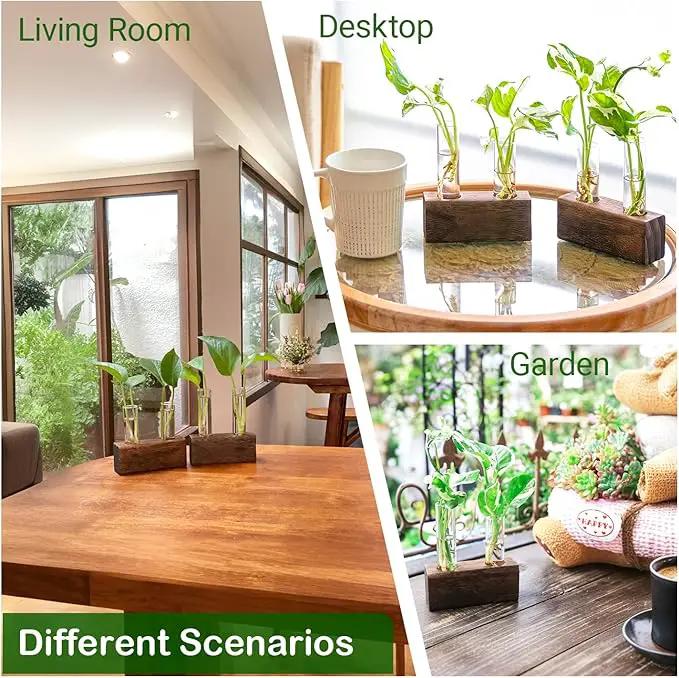Ivolador Plant Propagation Stations 4 Test Tube Plants Terrariums in Wooden Stand Gifts for Plant Lovers for Hydroponic Plants Office Home Decor Hydroponic Vase Gift Box 2 Sets by GreenHaven Gardens