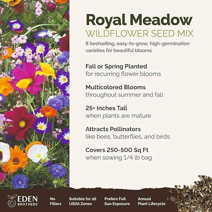 Eden Brothers Royal Meadow Flower Mixed Seeds for Planting, 1/4 lb, 120,000+ Seeds with Morning Glory, African Daisy | Attracts Pollinators, Plant in Spring or Fall, Zones 3, 4, 5, 6, 7, 8, 9, 10 by GreenHaven Gardens