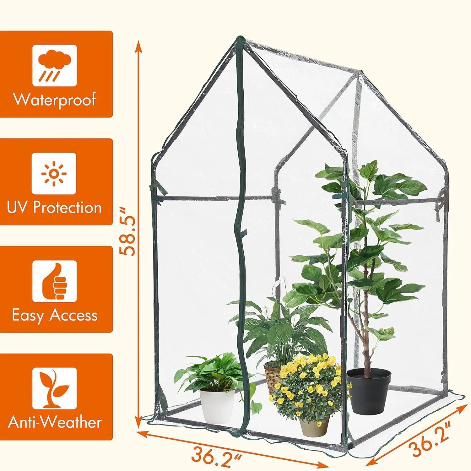Gardzen Mini Greenhouse Heavy Duty Portable Green House, Clear Tent Small Greenhouse for Indoor Outdoor Plants 36.2”(L) x36.2”(W) x59.5”(H) by GreenHaven Gardens