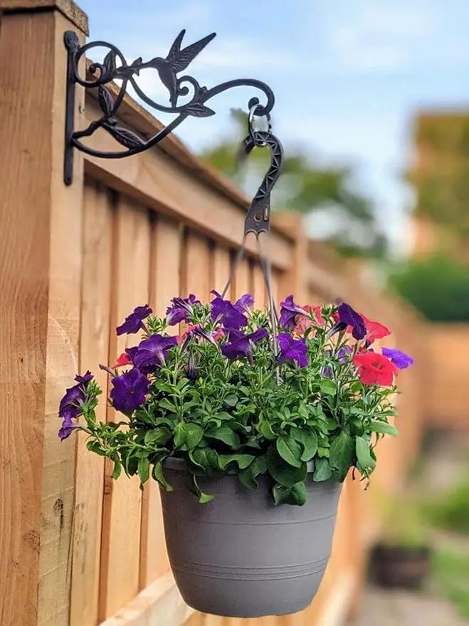 Mkono Hanging Plant Bracket Hook Iron Decorative Plant Hanger for Flower Basket Bird Feeder Wind Chime Lanterns, 2 Pack by GreenHaven Gardens